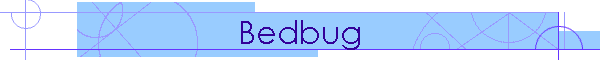 Bedbug