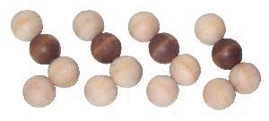 blosom2.jpeg (6173 bytes)