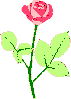 Escrbeme