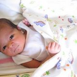 LittleBaby