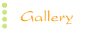 .: Gallery :.