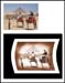 photoshop19