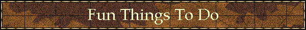 Fun Things To Do
