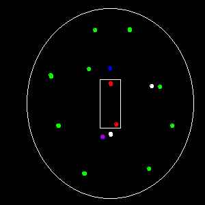 Outline of a cricket oval
