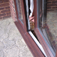 front door