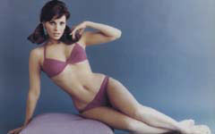 Actress: Raquel Welch