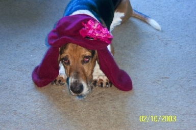 Top hat with EARS!!! only $15 plus shipping CUSTOMIZABLE!