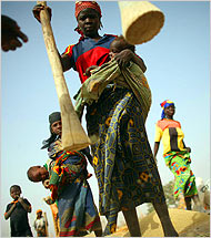 Michael Kamber for The New York Times. In Tahoua, where women have regenerated once-barren fields by digging manure pits, women mill their grain by pounding it with wooden pestles.