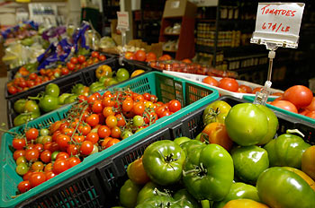 Earth Stewards: Quest for Food - feeding the poor in Vancouver Canada; Quest Executive Director Shelly Wells