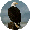 click for Eagle globe