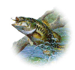 jpbass.gif (33966 bytes)