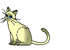 Minovito