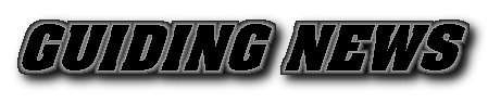 Guiding News