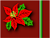bordered background #3 - poinsettia