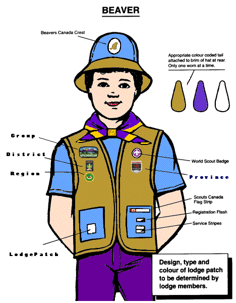 Image of a Beaver's Uniform