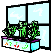 Growing - Guest Speaker