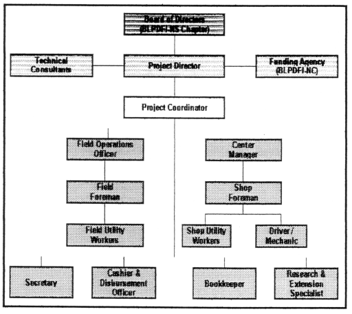 Organizational Structure