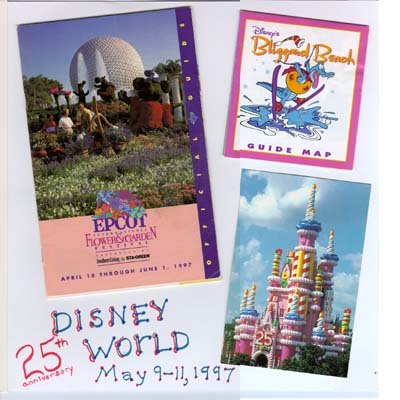 25th Birthday layout