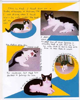 Kitten page layout