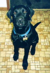 Doshi at 5 months