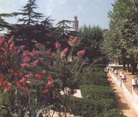 Parque Dalmau