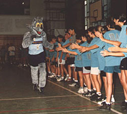 Wolfy corriendo