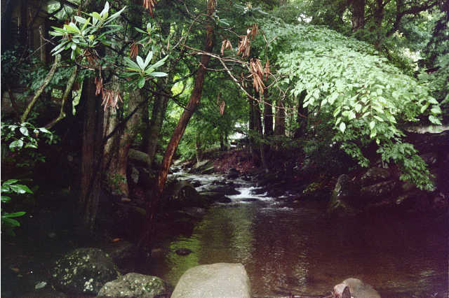 lastream.jpg (50804 bytes)