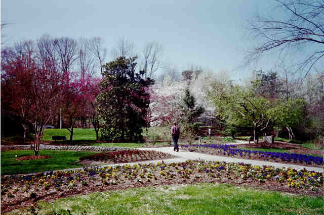 spring.jpg (34406 bytes)