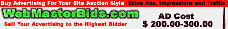 WebMastersBids.com Online Auction for Webmasters!