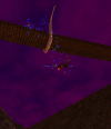 Lessurnad takes a flying leap!