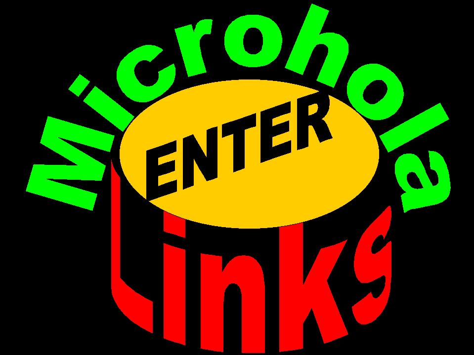 Welcome to MicroHola