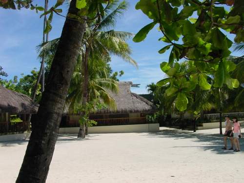 Cebu Tour Packages travel and tour packages