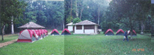 Campamento Ceibal