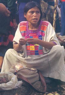 Indigena