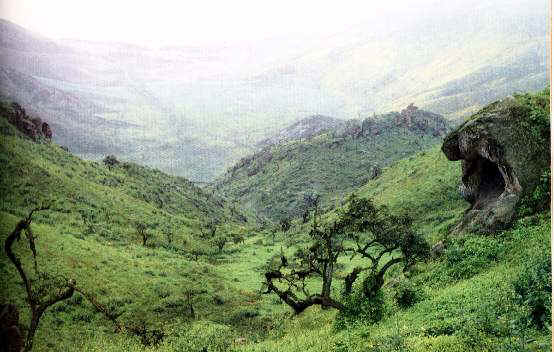 Lomas de Lachay