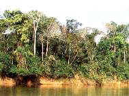 Paisaje