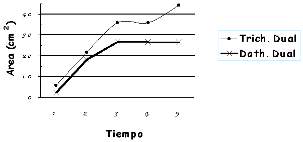control2.gif (4029 bytes)