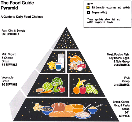 Food Pyramid