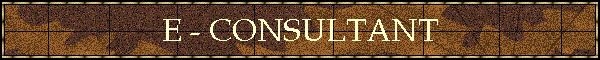 E - CONSULTANT