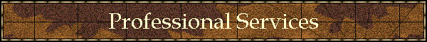Professional Services