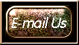 E-mail Us