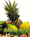 Pineapple Logo