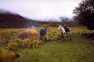 Caballo