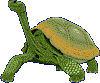 Tortuga Gal�pagos
