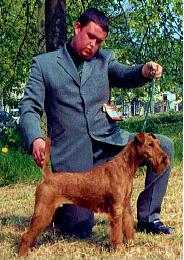 Niall and Edbrios Slaine