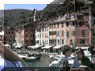 thme15.gif (7769 bytes)