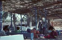 Dahab - Children at work