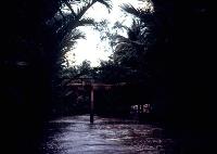 Mekong Delta