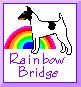 TFT at the Rainbow Bridge