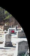 Eden Falls Memorial Park - take the tour.